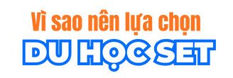 vi-sao-nen-chon-set-330x110px